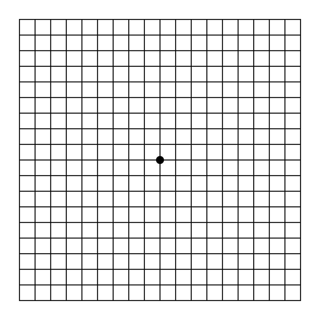 Der Amsler-Gitter-Test