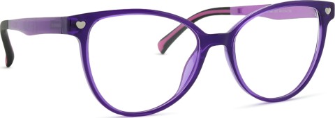 Active Clip on F 0500 48 066 000 48 (sonnenclip)