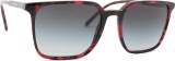 Dolce & Gabbana 0DG 4424 33588G 56 22034