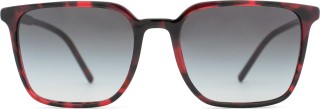 Dolce & Gabbana 0DG 4424 33588G 56 22033