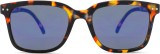 Izipizi Sun #L Tortoise Mirror 47138