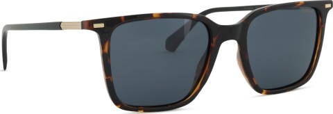 Polaroid PLD 4183/S/X 086 C3 53