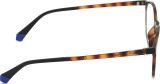 Polaroid PLD 6137/CS 086 SP 52 (sonnenclip) 39646