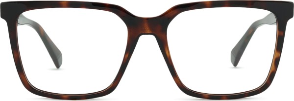 Polaroid PLD D556/C 086 17 54 (sonnenclip)