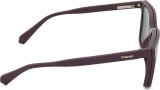 Polaroid PLD D556/C 0T7 17 54 (sonnenclip) 49059