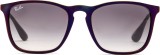 Ray-Ban Chris RB4187 631611 54 1072