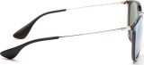 Ray-Ban Erika RB4171 631930 54 2806