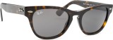 Ray-Ban Laramie RB2201 902/B1 54 15589