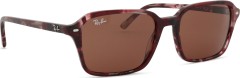 Ray-Ban Raimond RB2231 1416C5 56