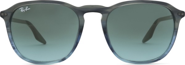 Ray-Ban RB2203 1391GK