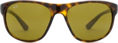 Ray-Ban RB4351 710/73 59