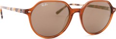 Ray-Ban Thalia RB2195 663693 53