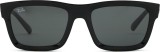 Ray-Ban Warren RB4396 667787 38325