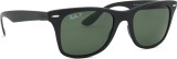 Ray-Ban Wayfarer Liteforce RB4195 601S9A 52